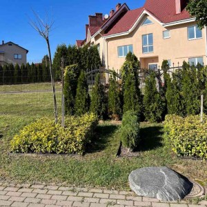  садовые00003